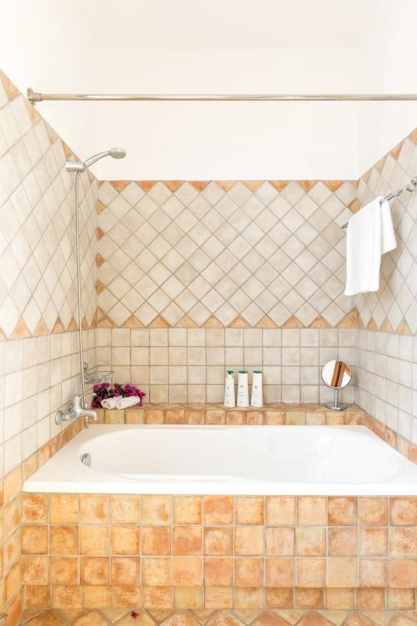 Dendrilia & By Rodostamo Collection